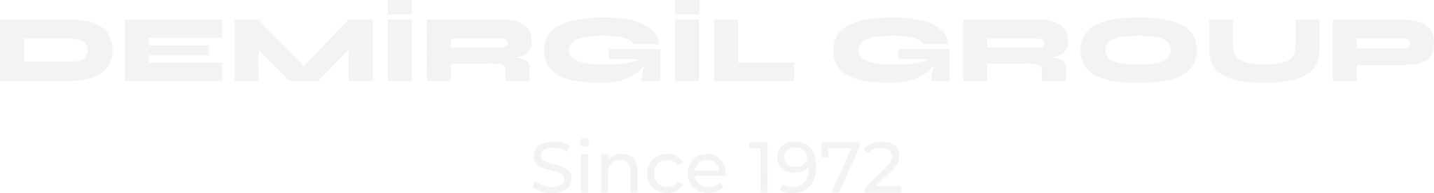 Demirgil Group — Since 1972